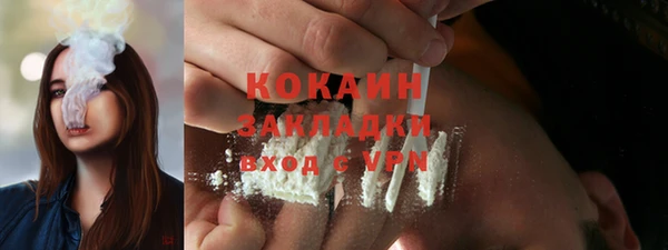 сатива Белокуриха