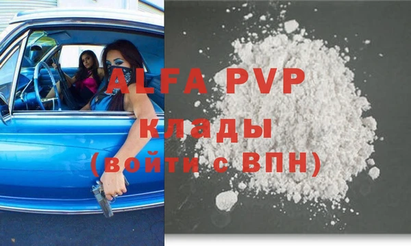сатива Белокуриха