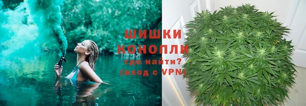 сатива Белокуриха