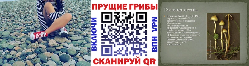 Псилоцибиновые грибы Magic Shrooms  Красноперекопск 
